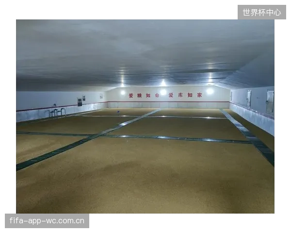 禾木（吉克普林）国际滑雪度假区选用Panolin生物液压油，探索在极端低温下维持张紧系统灵敏度的绿色路径
